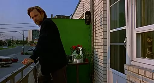 エキゾチカの画像