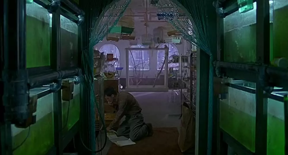 エキゾチカの画像