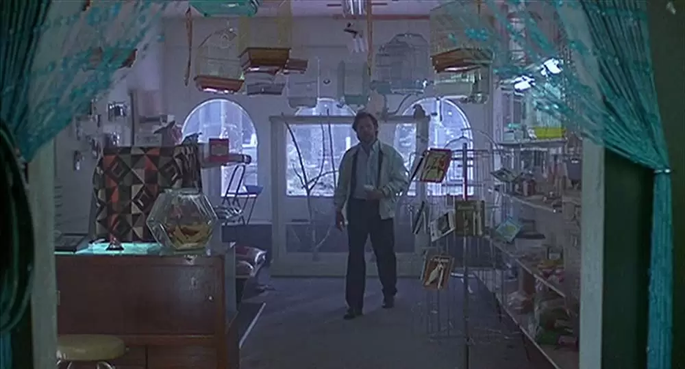 エキゾチカの画像