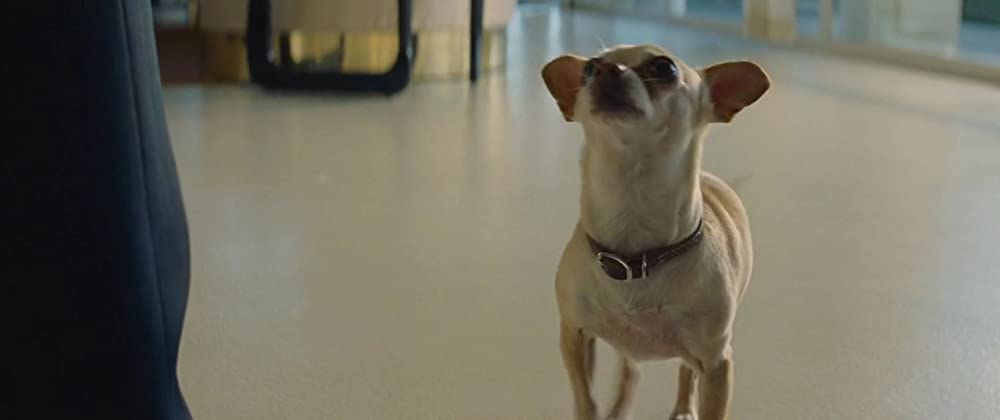 セバーグ／セバーグ 素顔の彼女の画像