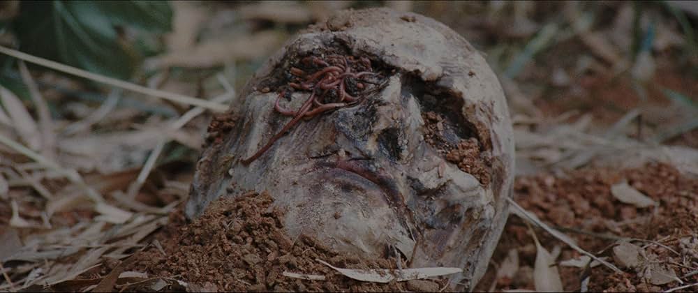 サンゲリアの画像