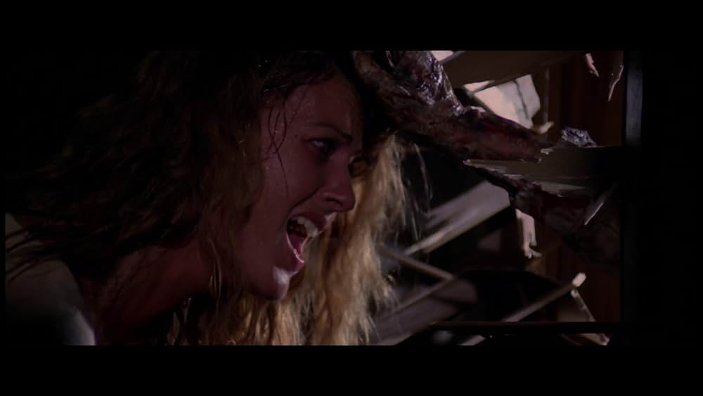 サンゲリアの画像