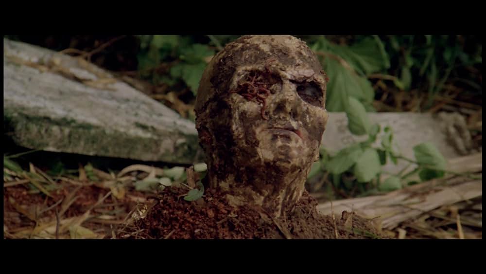 サンゲリアの画像