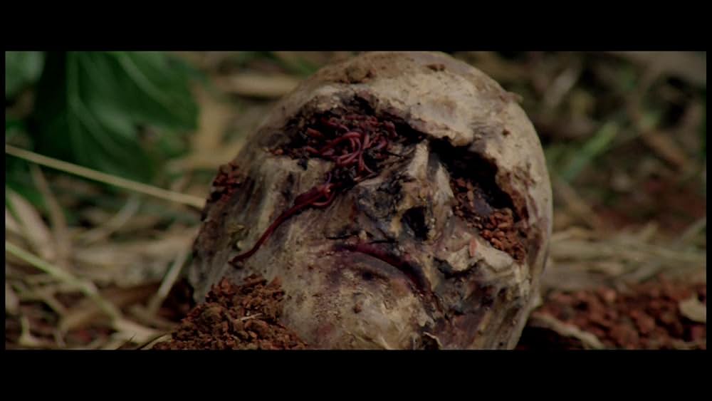 サンゲリアの画像