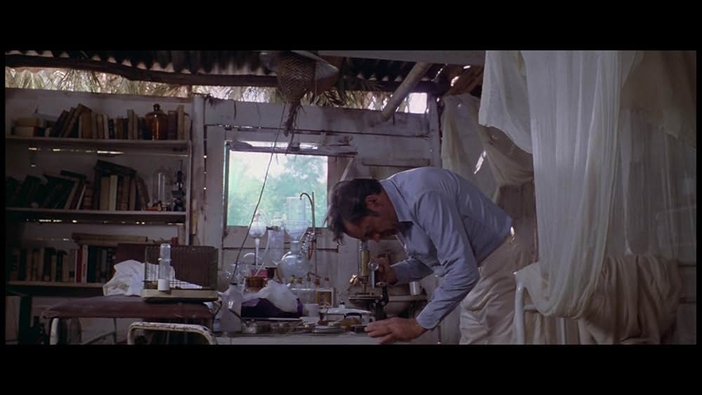 サンゲリアの画像