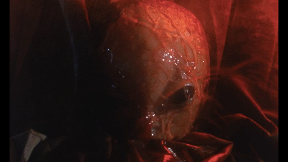 死霊の罠の画像