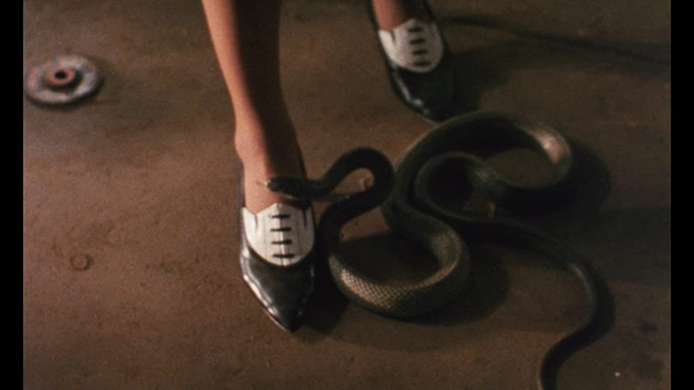 死霊の罠の画像