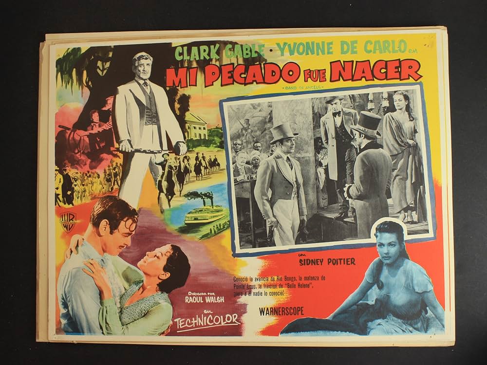 南部の反逆者の画像