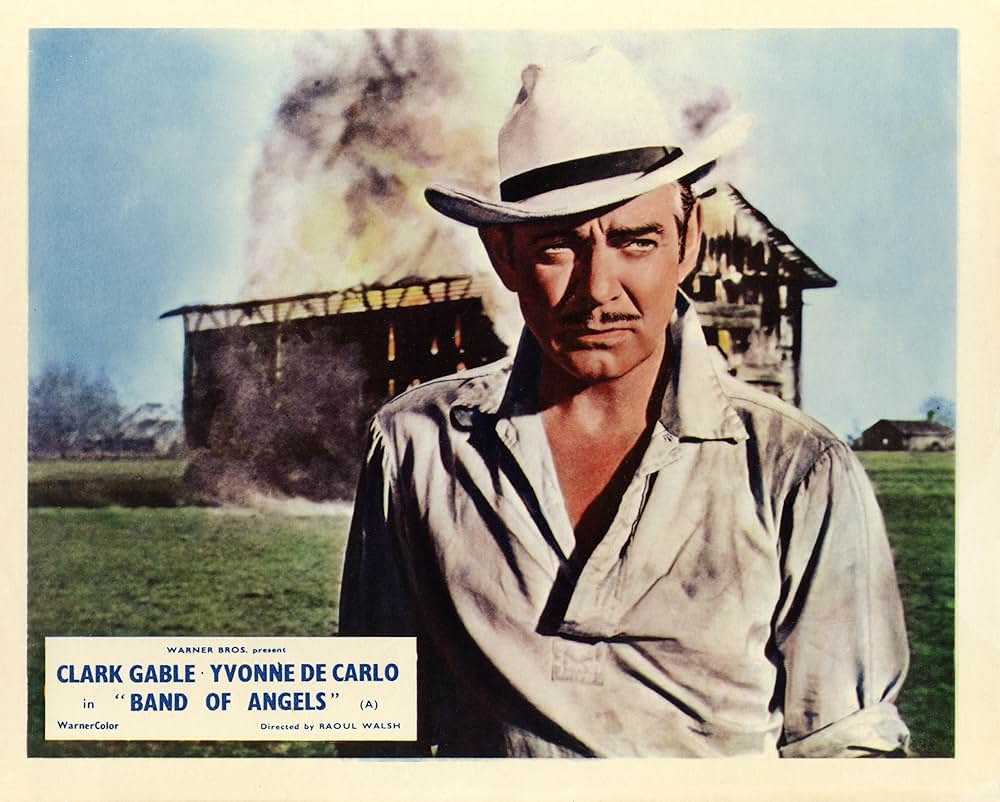 南部の反逆者の画像