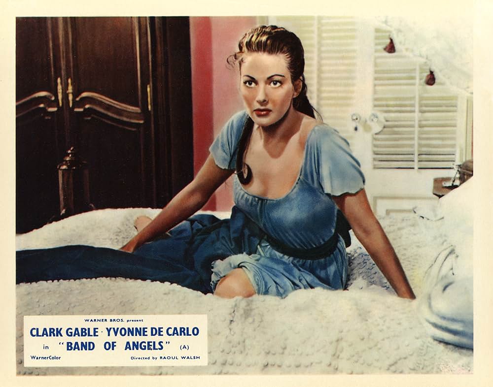 南部の反逆者の画像