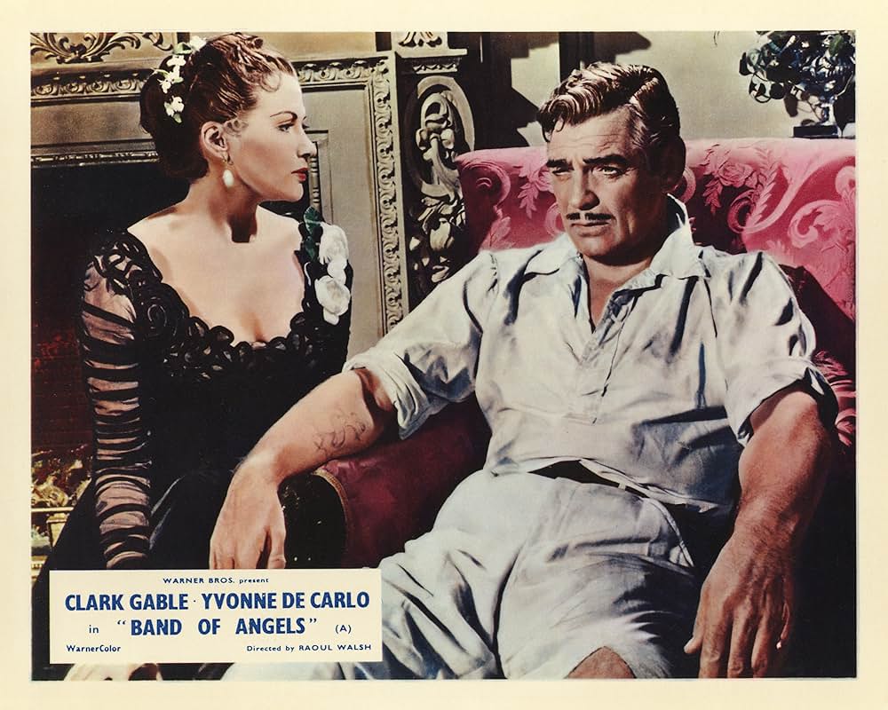 南部の反逆者の画像