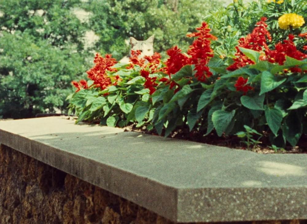 セリーヌとジュリーは舟でゆくの画像