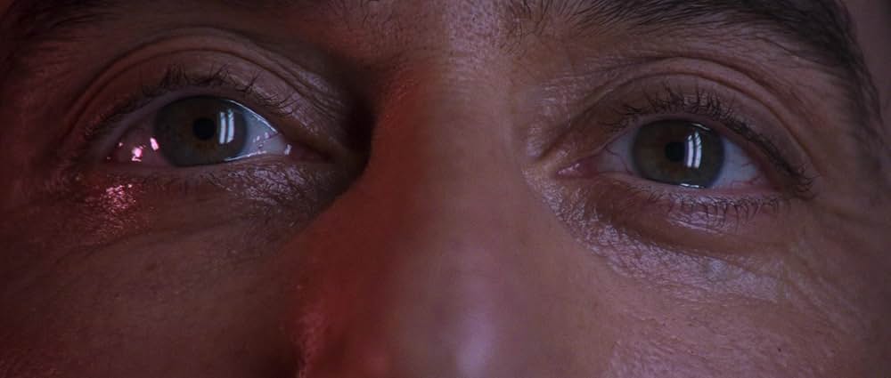 「カリートの道」の画像