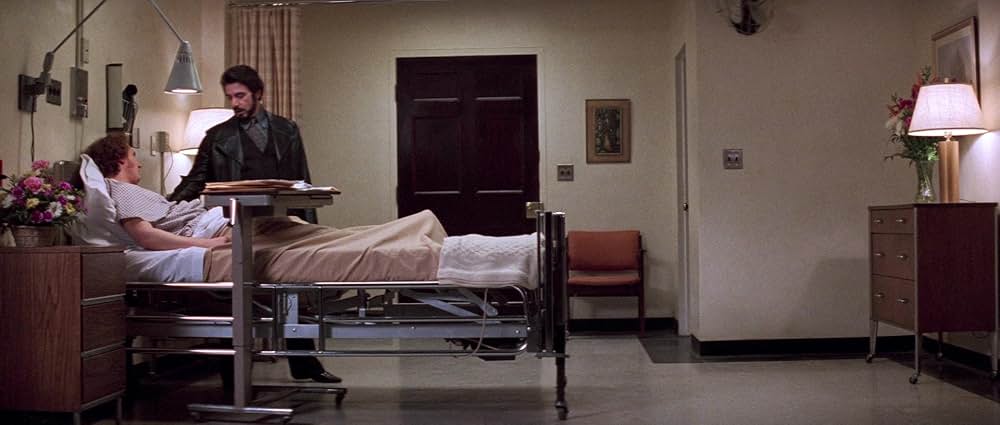 「カリートの道」の画像