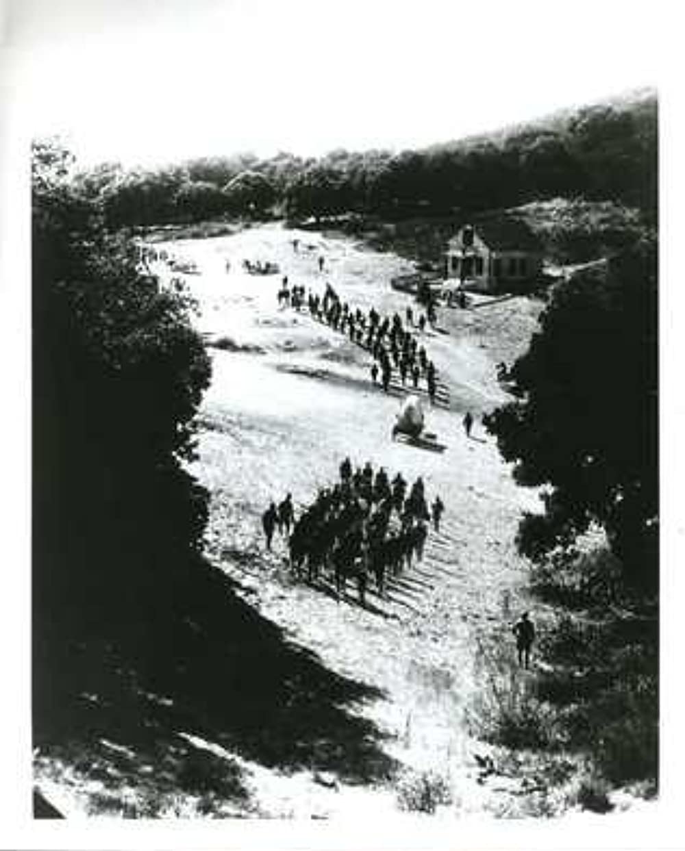 国民の創生の画像