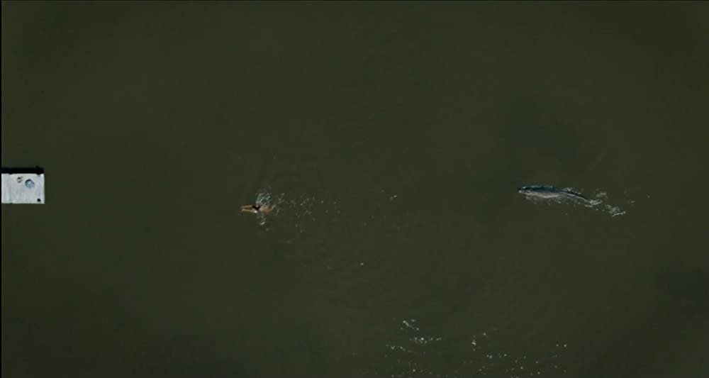 「X エックス」ミア・ゴスの画像