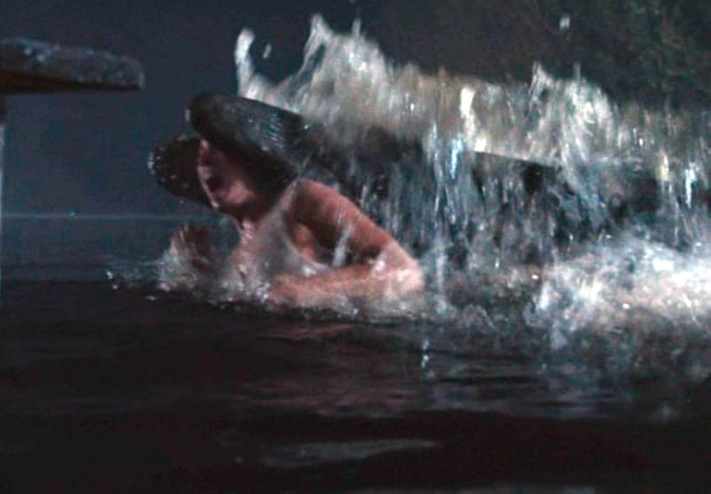 X エックスの画像