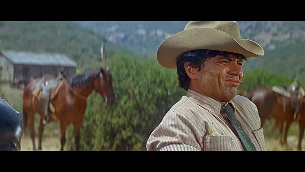 「夕陽に向って走れ」ロバート・ブレイクの画像