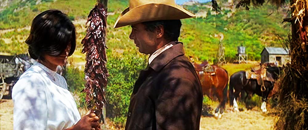 「夕陽に向って走れ」キャサリン・ロス & ロバート・ブレイクの画像