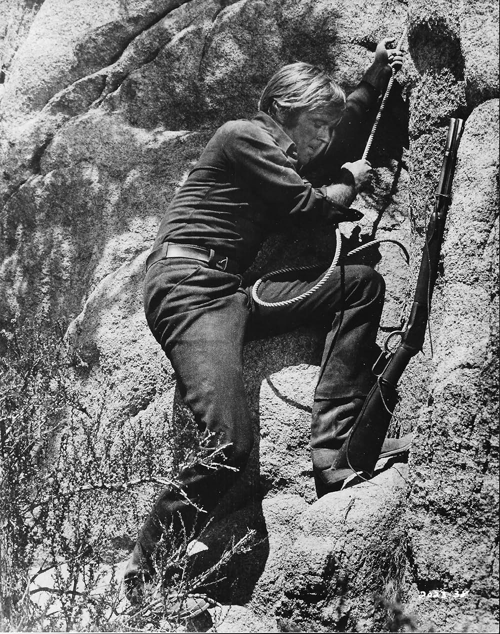 「夕陽に向って走れ」の画像