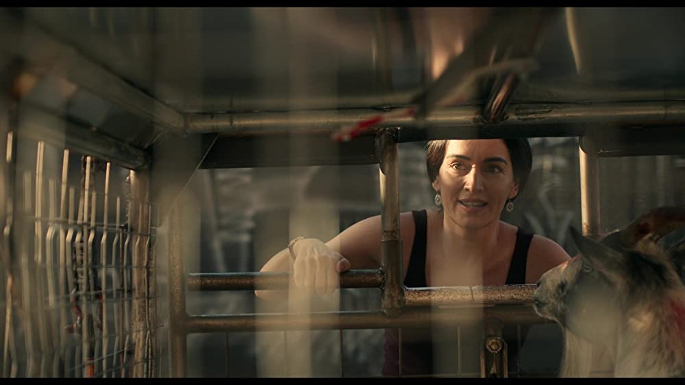 フォーエバー・パージの画像