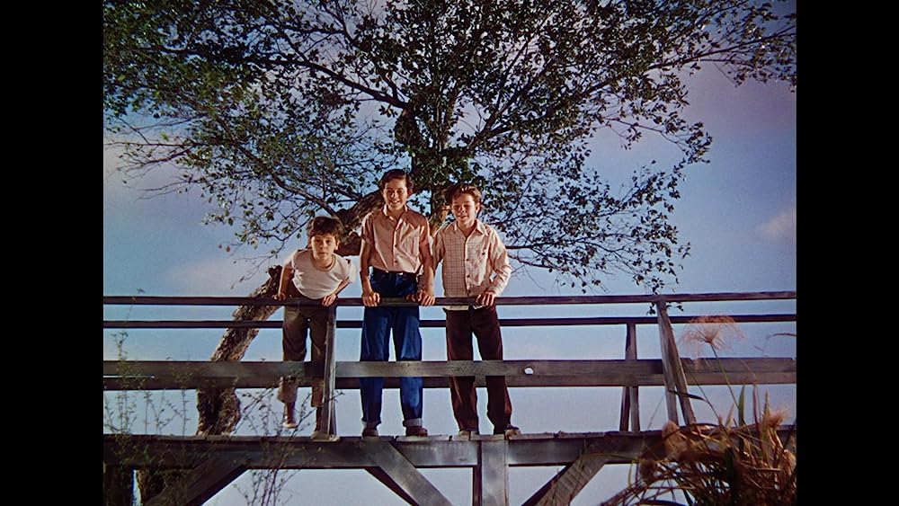 緑色の髪の少年の画像