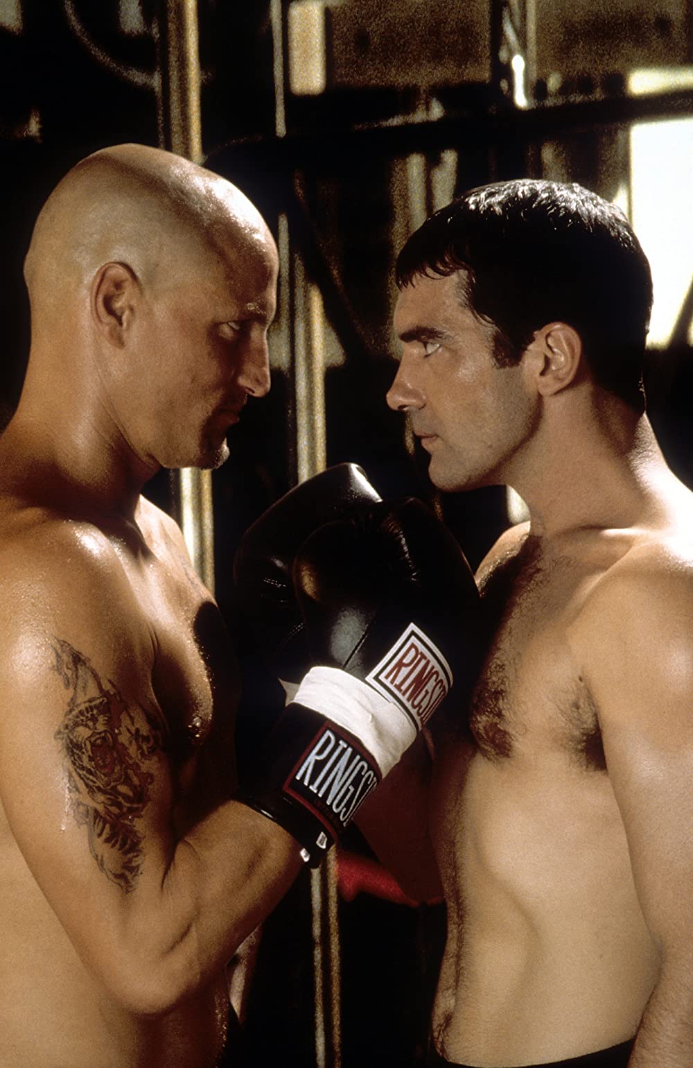 マイ スウィート ガイズの画像