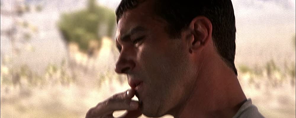 マイ スウィート ガイズの画像