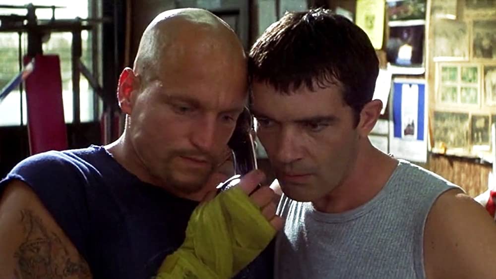 マイ スウィート ガイズの画像