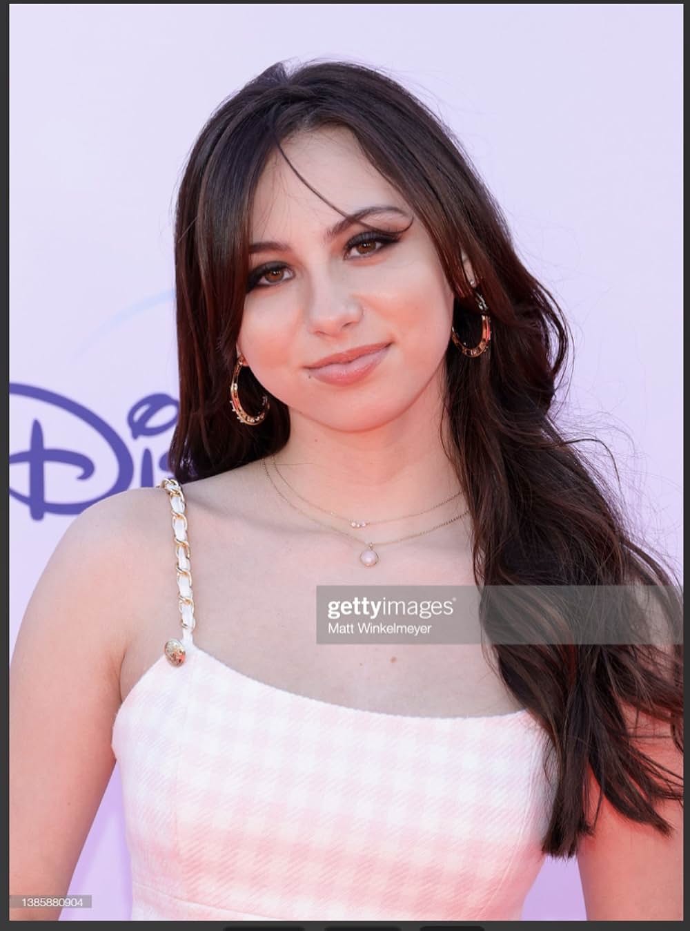 12人のパパの画像