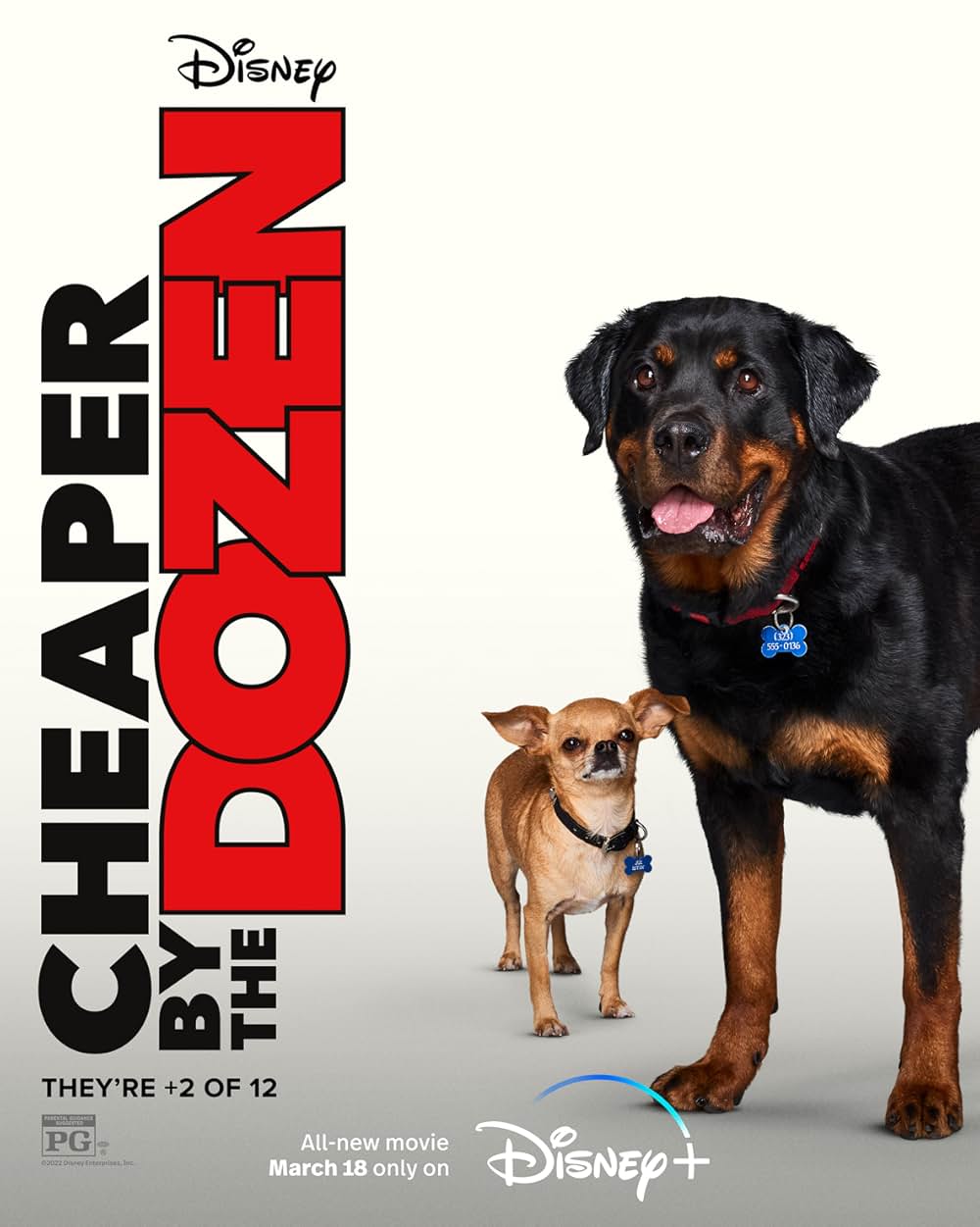 12人のパパの画像