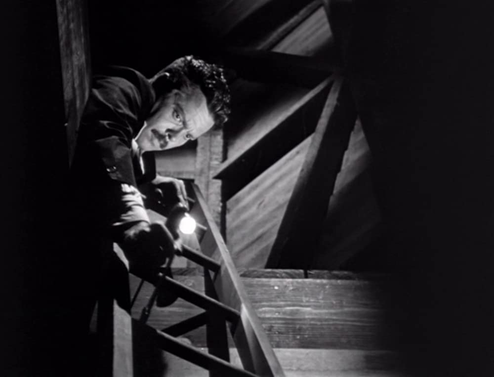 ストレンジャーの画像