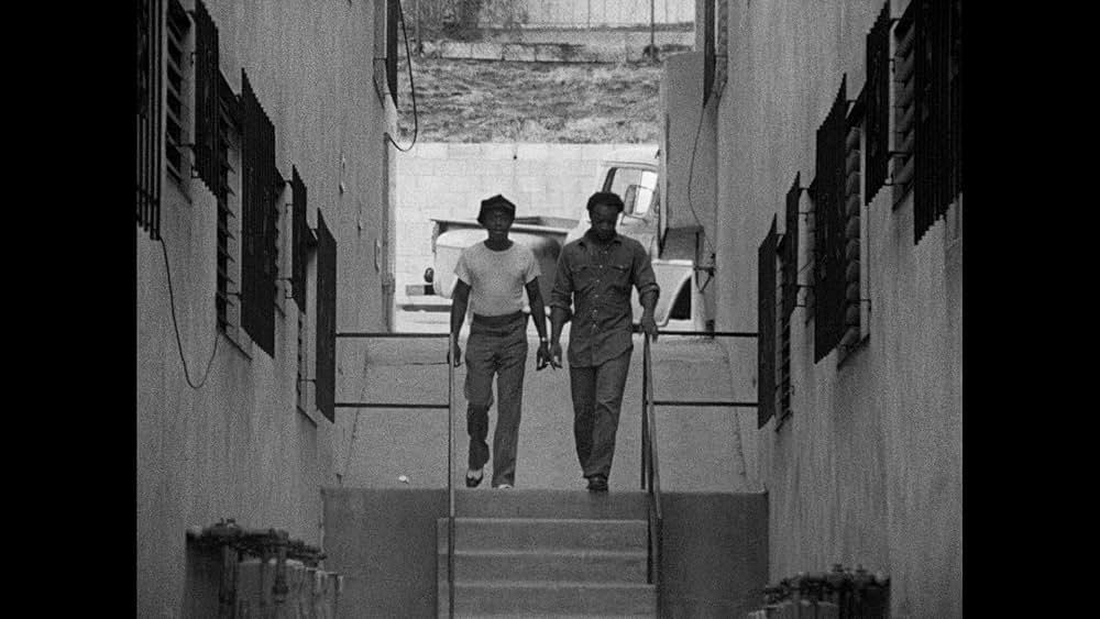 キラー・オブ・シープの画像