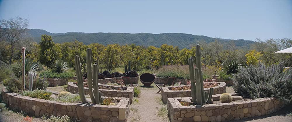 運命のイタズラの画像