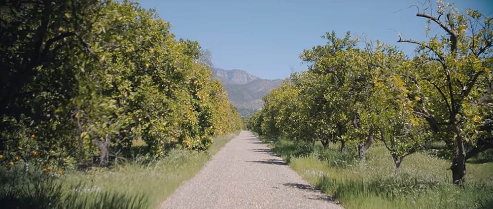 運命のイタズラの画像