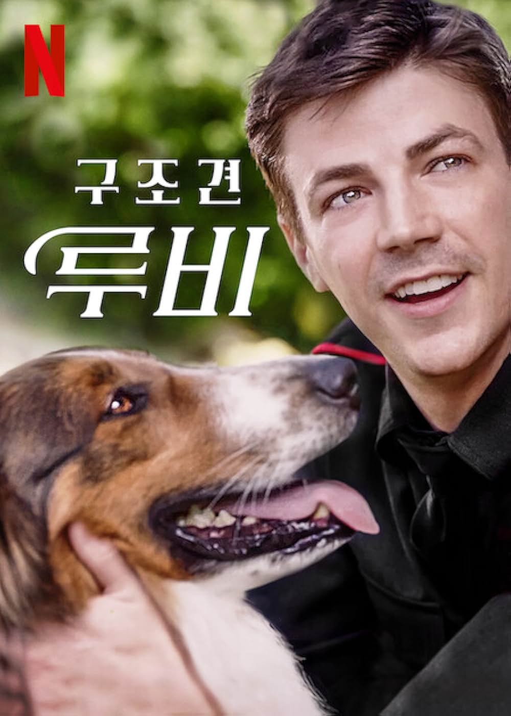 レスキュードッグ・ルビーの画像