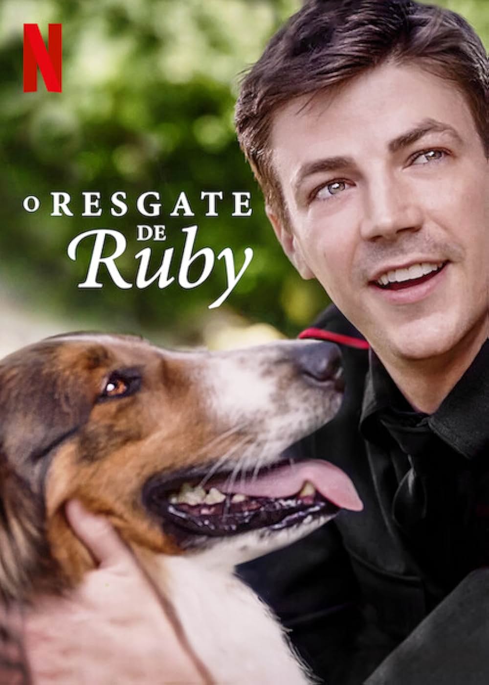 レスキュードッグ・ルビーの画像