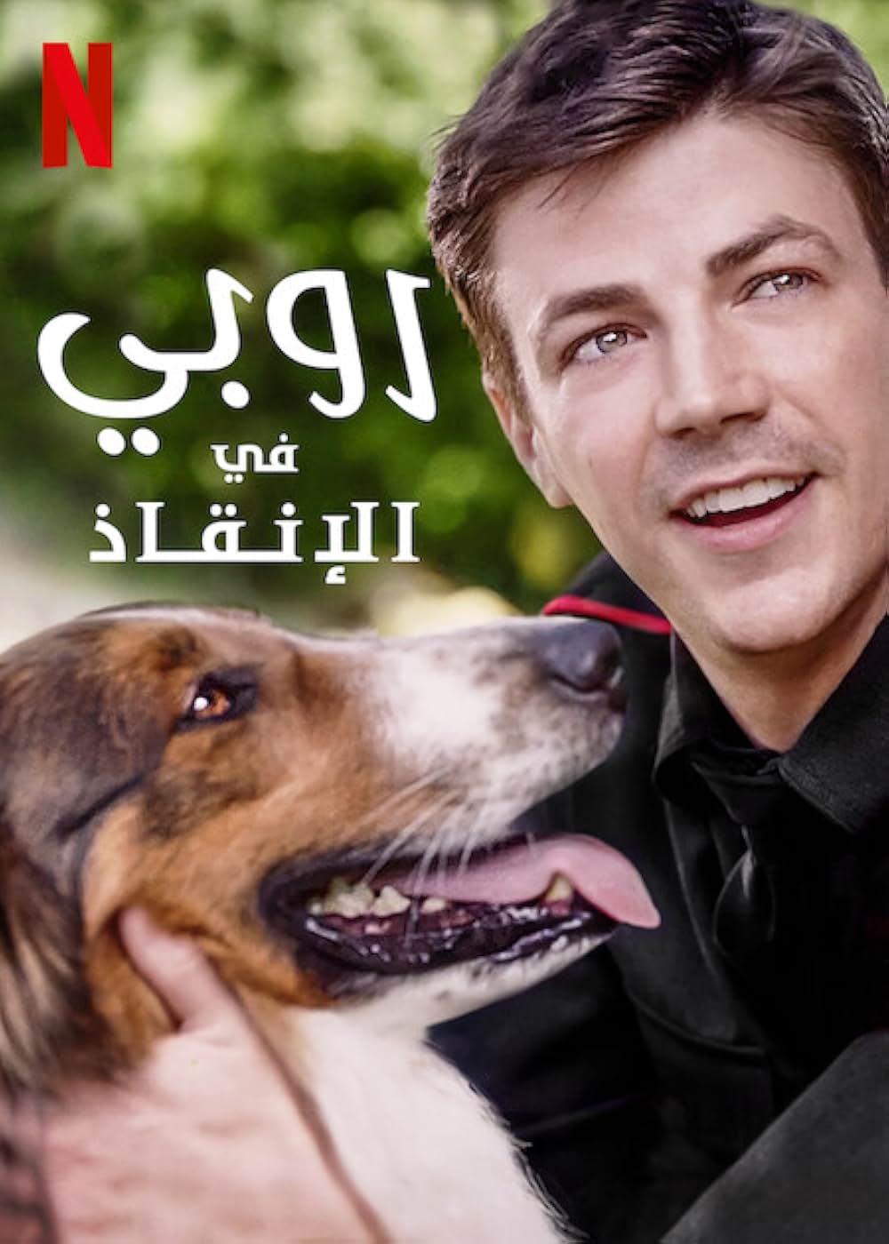 レスキュードッグ・ルビーの画像