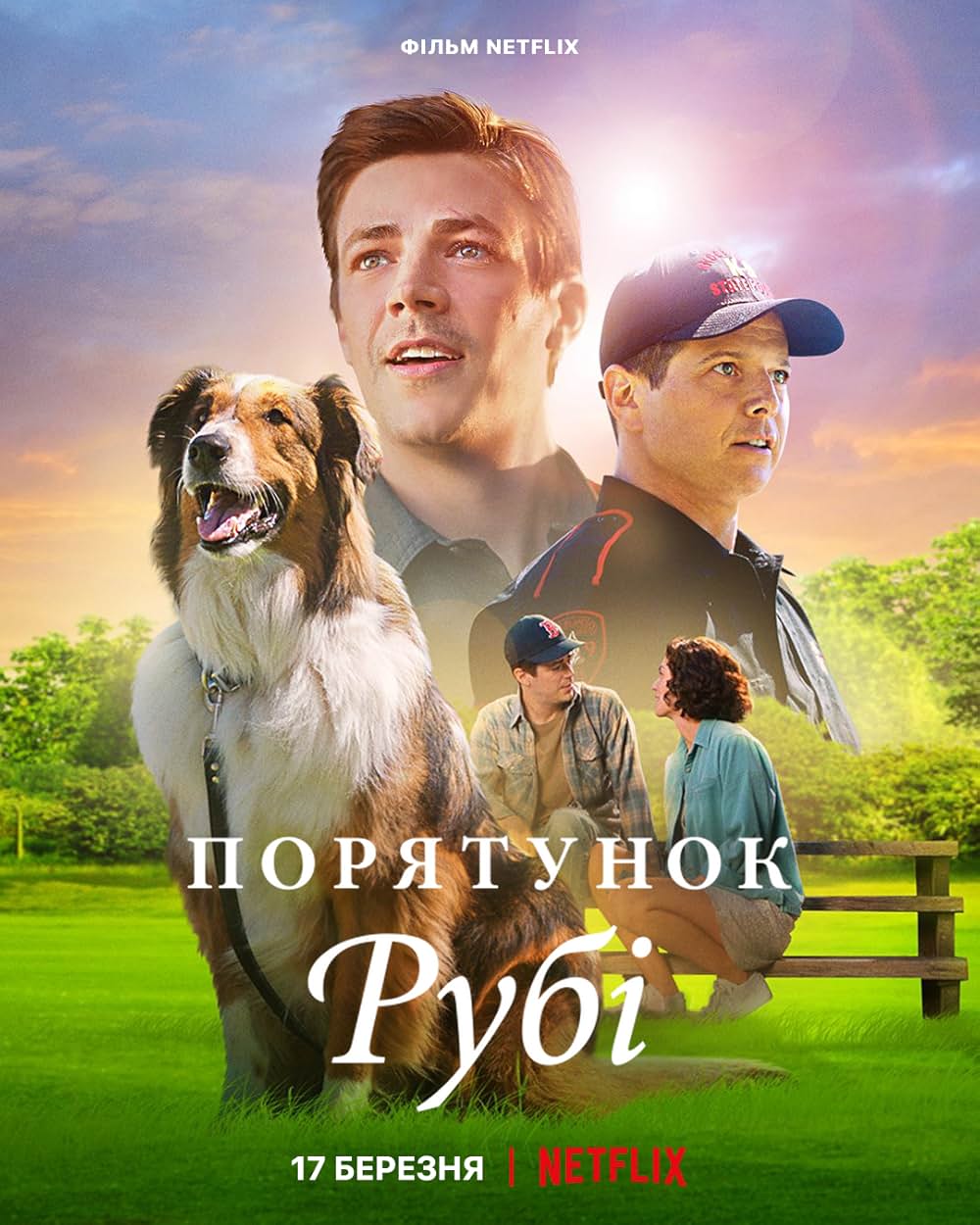 レスキュードッグ・ルビーの画像