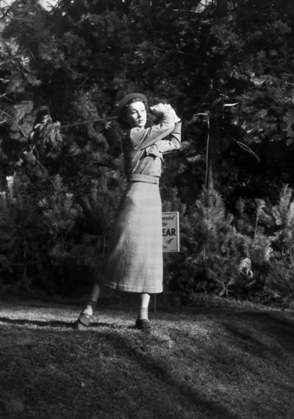 茶碗の中の嵐の画像