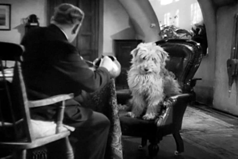 茶碗の中の嵐の画像