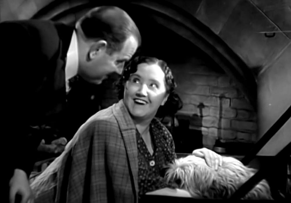 茶碗の中の嵐の画像