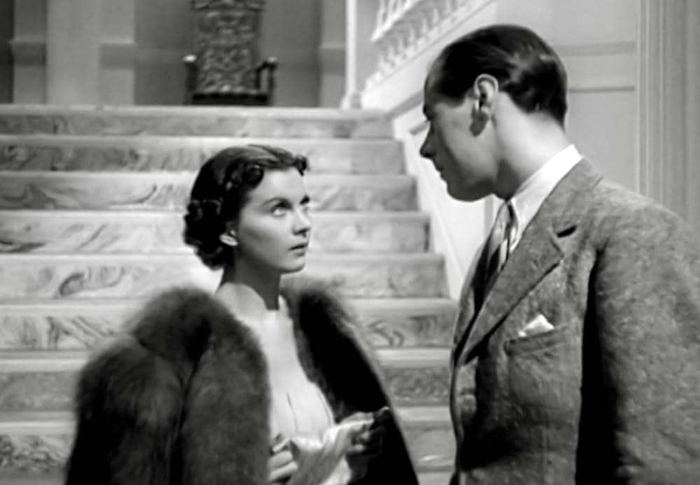 茶碗の中の嵐の画像