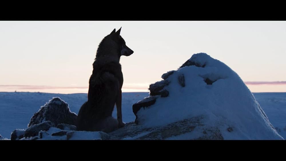 アイロ 北欧ラップランドの小さなトナカイの画像