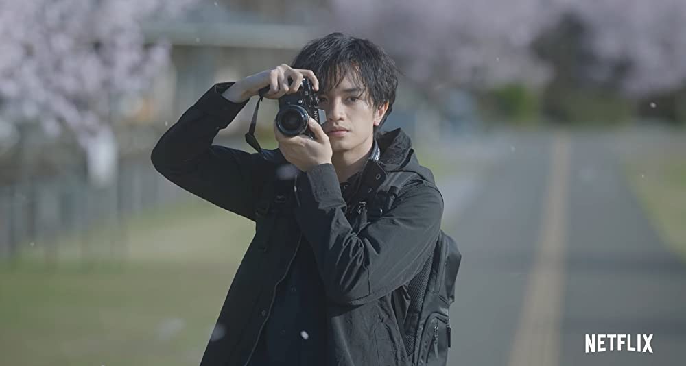 桜のような僕の恋人の画像