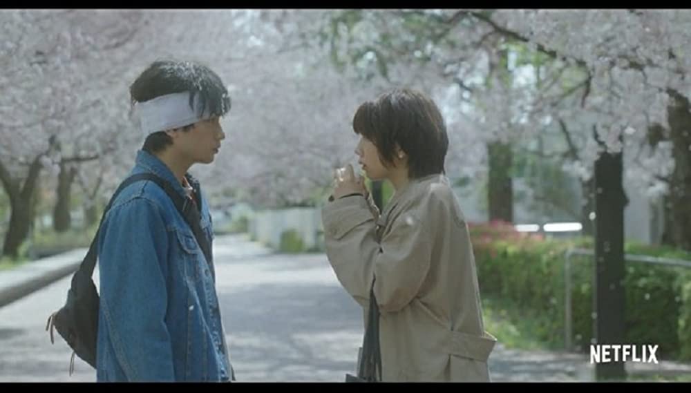 桜のような僕の恋人の画像