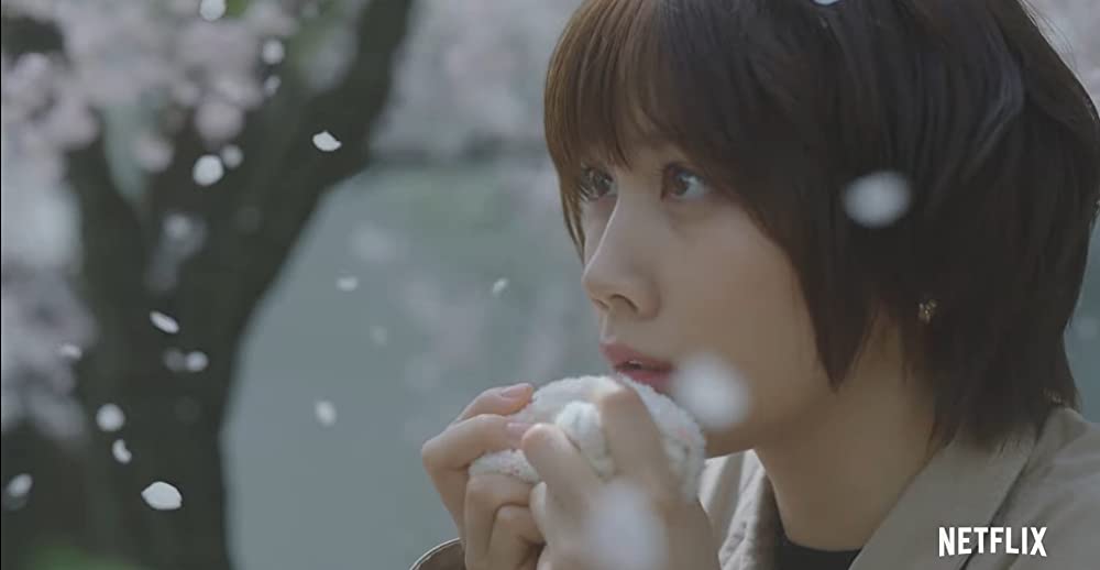 桜のような僕の恋人の画像