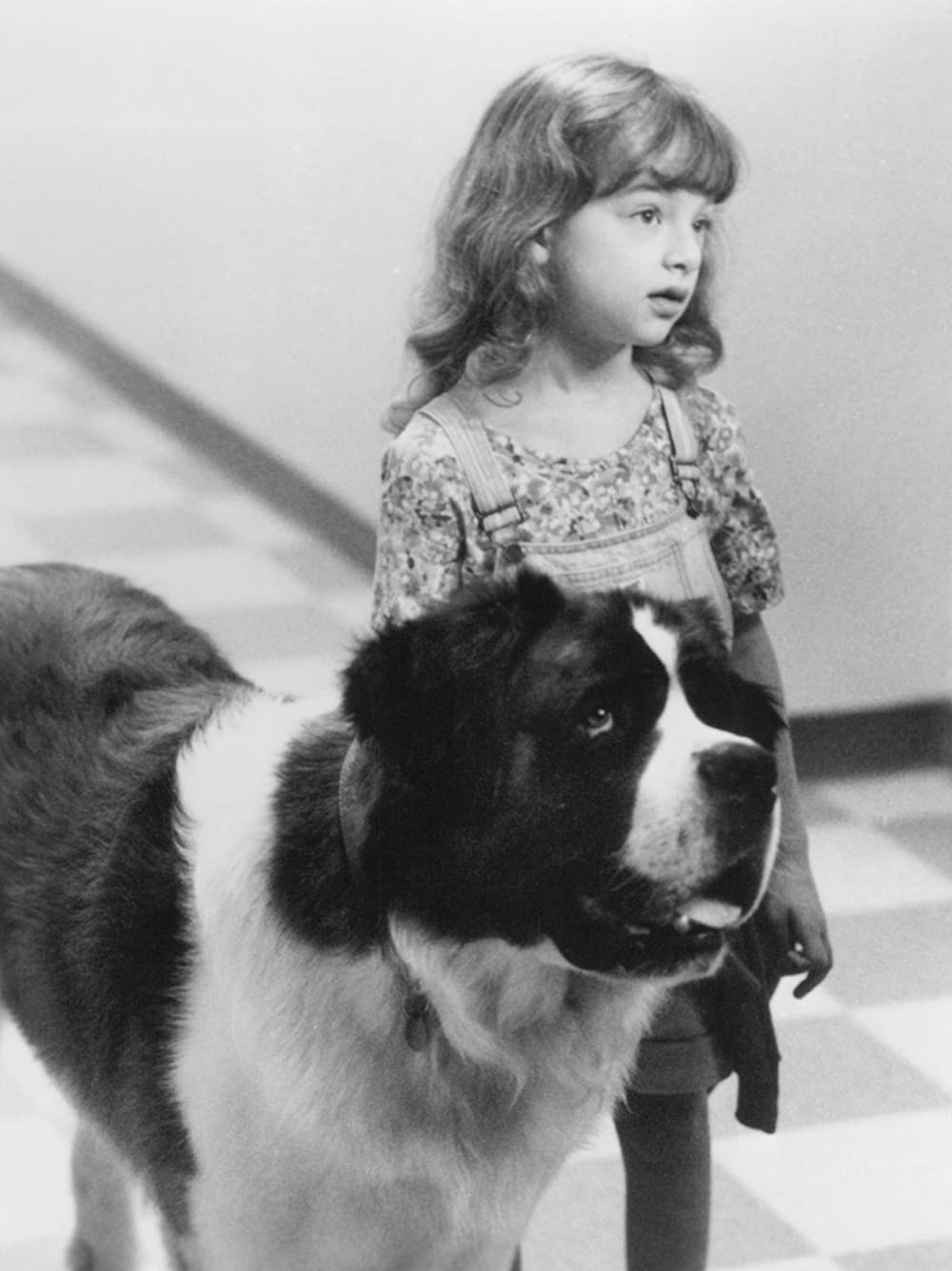 ベートーベン2の画像