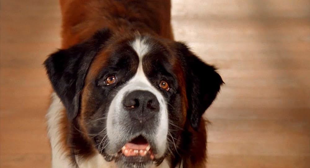 ベートーベン2の画像