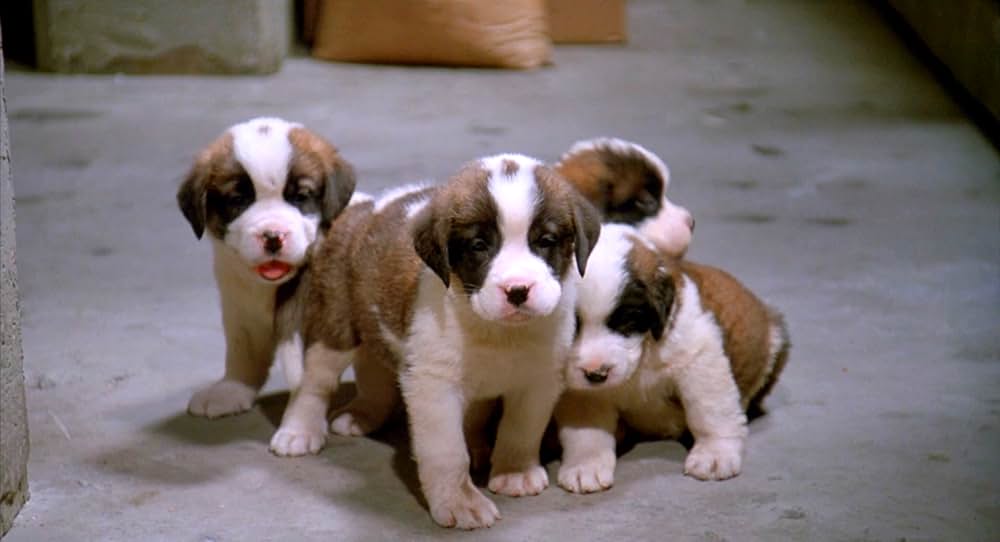 ベートーベン2の画像